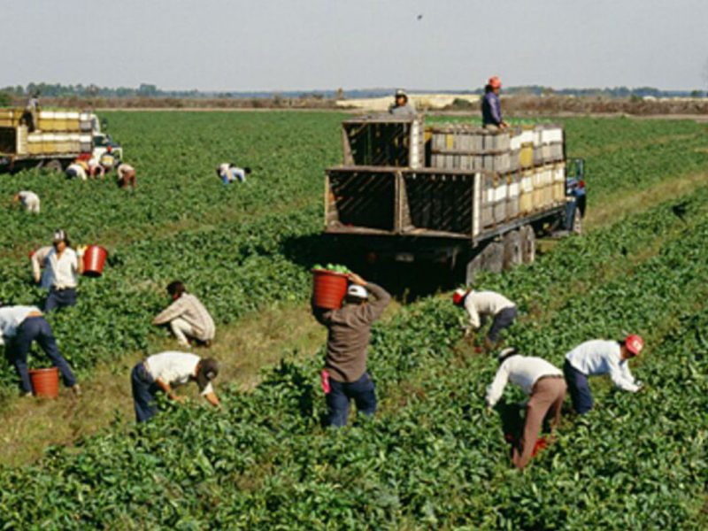 Recuerda que tienes derechos laborales sin importar tu estatus migratorio. ¡Hazlos valer!