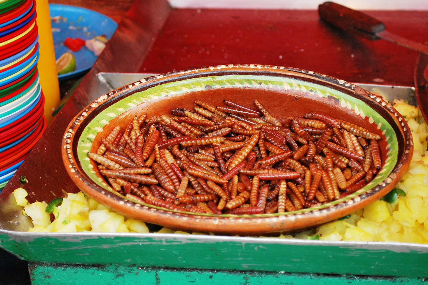 Los chinicuiles tienen un sabor fuerte pero delicioso. Foto: Pinterest.