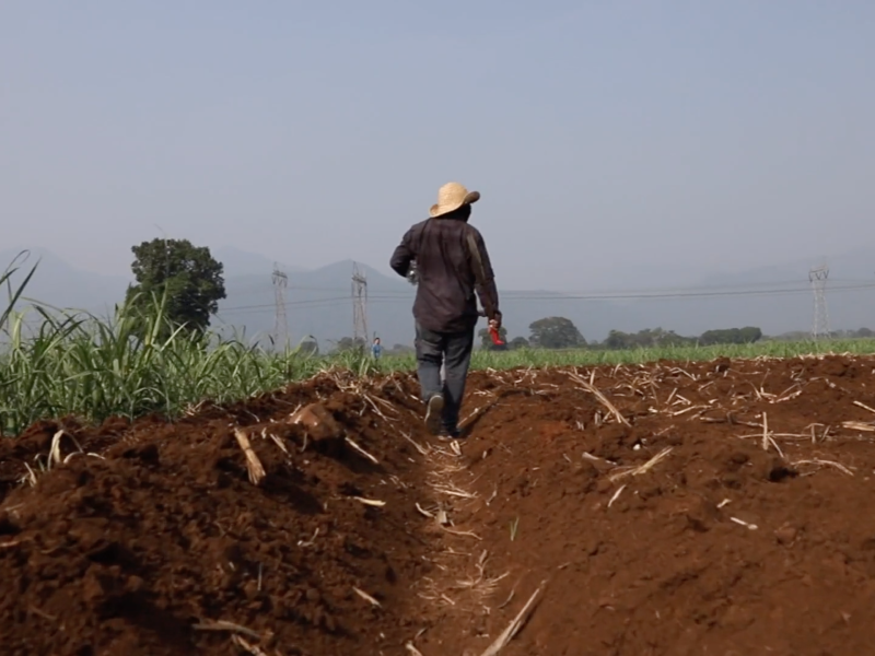 La historia de Óscar es como la de miles de migrantes más que intentan cruzar México en medio de la pandemia.