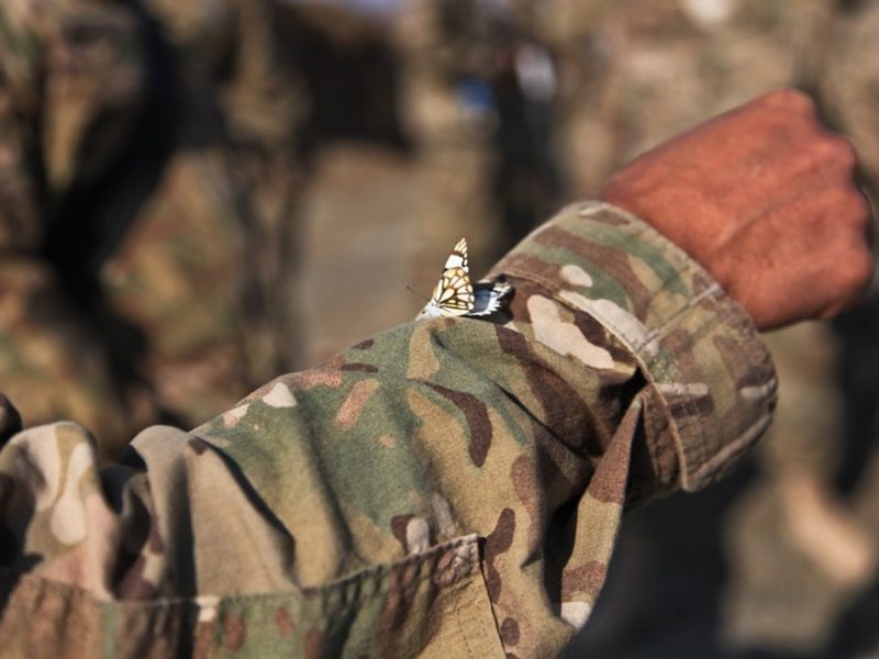 Cómo unirte a las fuerzas armadas de USA