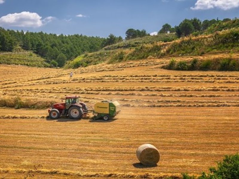 Suprema Corte exige pago de horas extra para trabajadores agrícolas