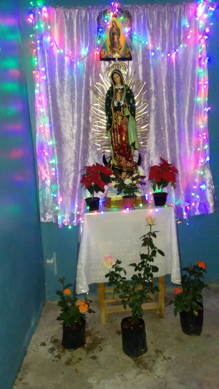 Lupita con rosas y luces