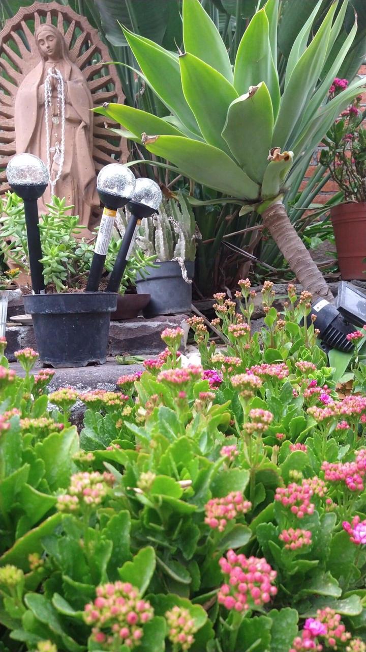 Altar de la Virgen en un jardín