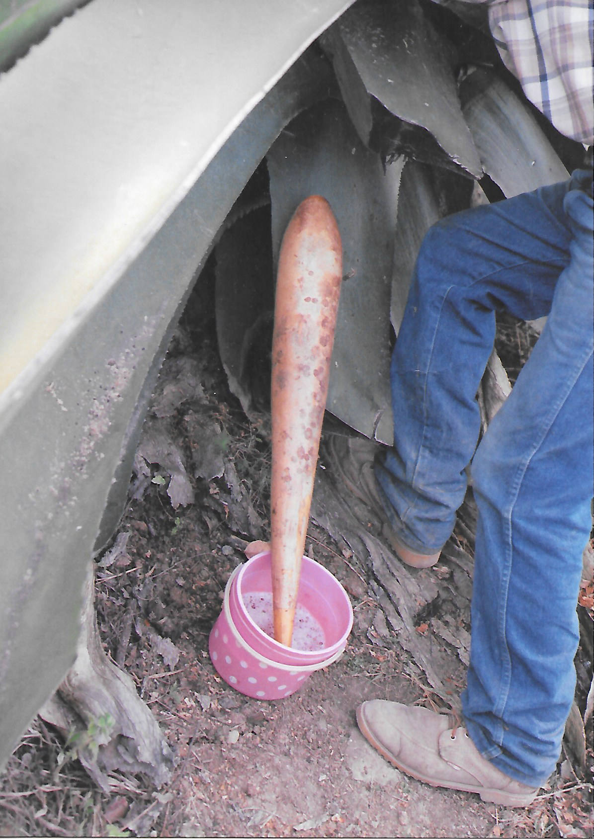 El acocote, con el cual se obtiene el aguamiel. | Foto: Abel Domínguez / Conexión Migrante.