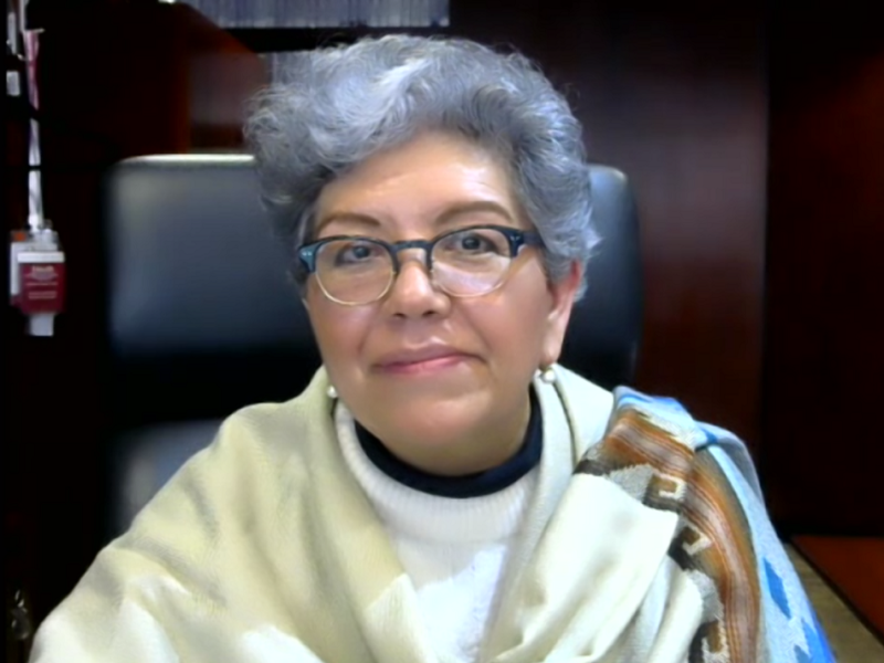 Carolina Zaragoza, directora General de Servicios Consulares de la SRE (Foto: Conexión Migrante).