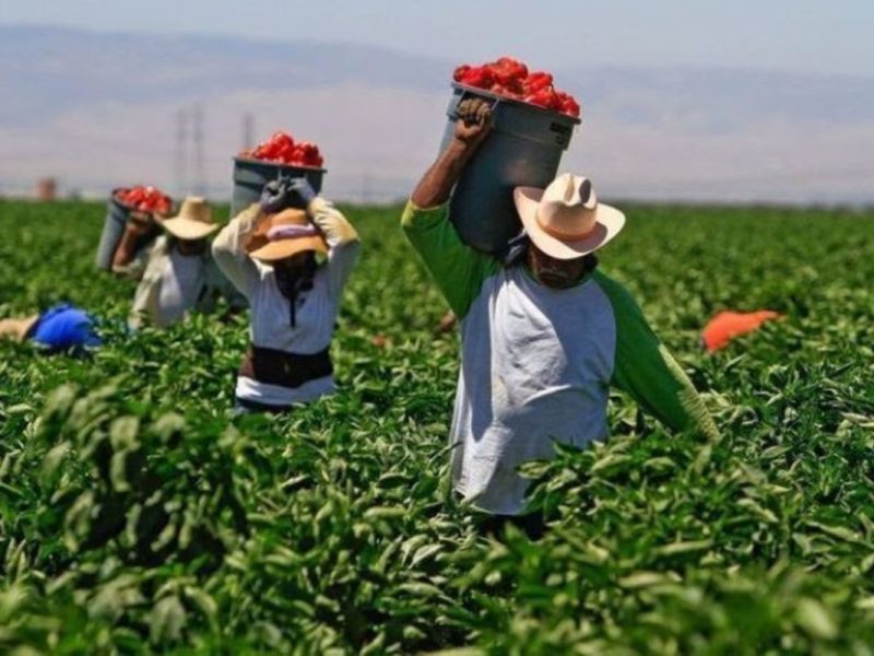 Visa de trabajo para migrantes