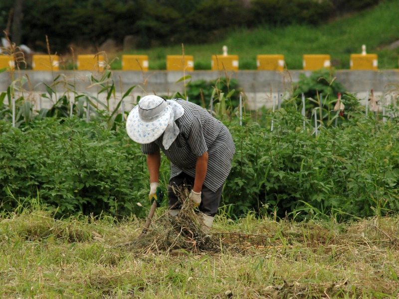 Las autoridades de Coachella esperan que esta medida se extienda a todo el estado de California y a todo USA.