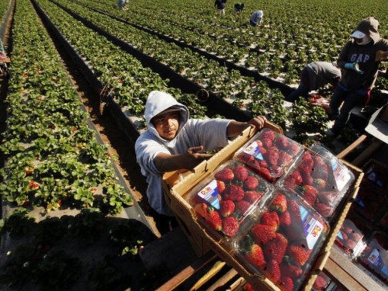 Proyecto de ley para dar ciudadanía a trabajadores esenciales