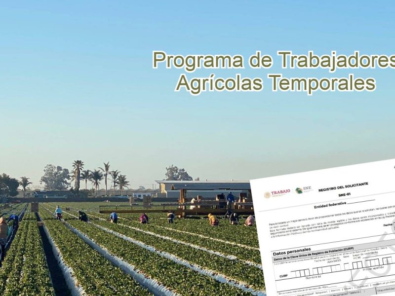 El Servicio Nacional del Empleo asigna las vacantes directamente a sus oficinas estatales