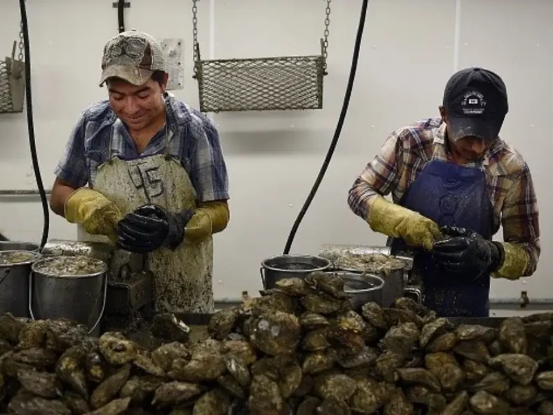 Las visas H-2B son para trabajadores no especializados, como personal de limpieza o construcción.