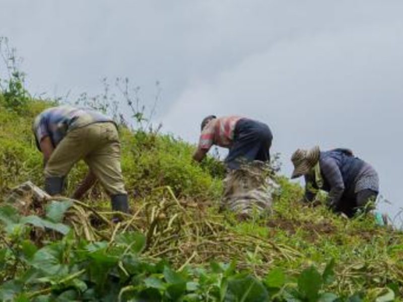 Foto: Juan Vivas Flickr / Contratados.org
