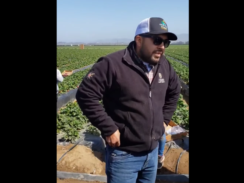 Este es el empleador que despidió a Guadalupe, una trabajadora agrícola en California que exigió un aumento del pago por hora.