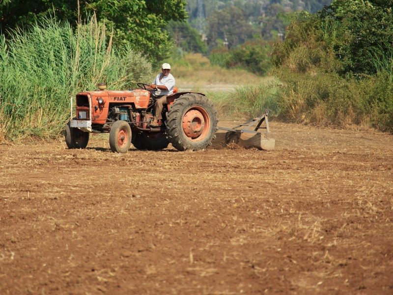 Los reclutadores no pueden cobrarte por llevarte a trabajar a USA con una visa de trabajo tipo H-2A.