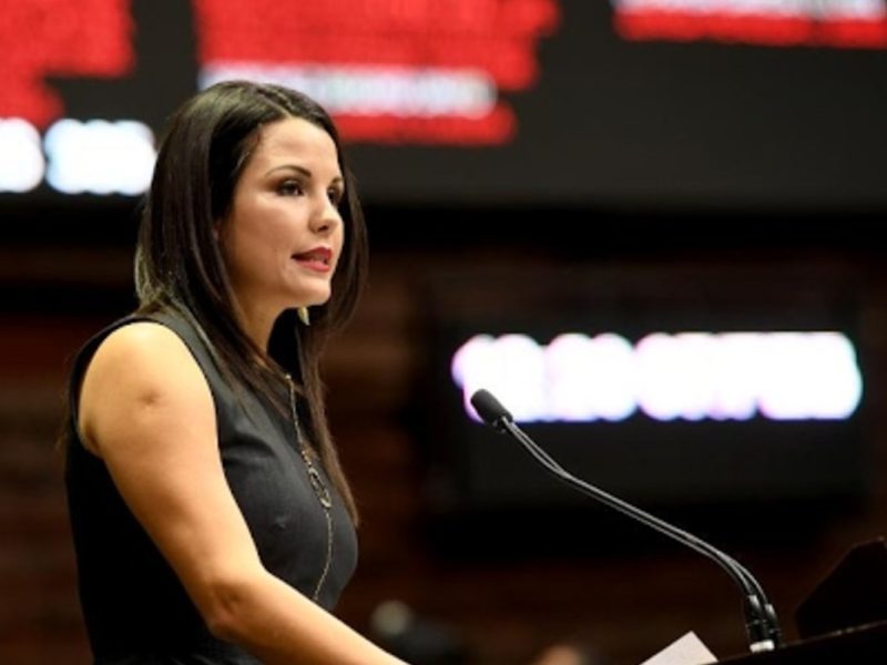 Karla Karina Osuna Carranco fue propuesta por el PAN por el pan a pesar de no haber vivido en el extranjero