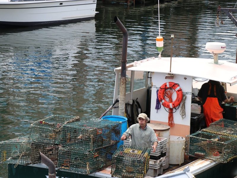 El gobierno de México destacó los abusos en la industria de la carne y del campo. Sin embargo, los trabajadores de alimentos del mar también enfrentan este tipo de violaciones a sus derechos.