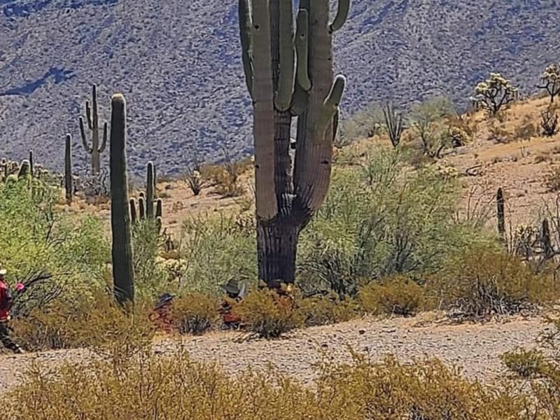 Foto: Retenes al Rescate