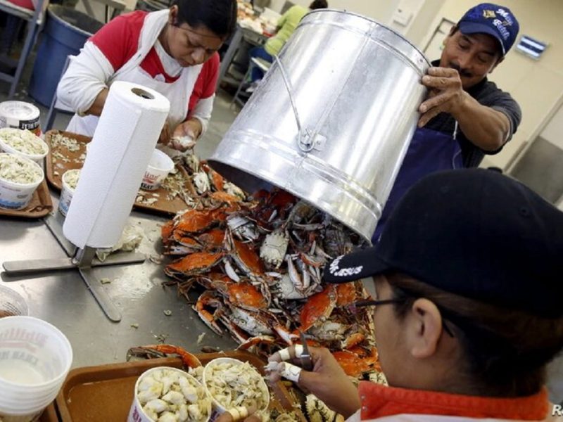 Es la primera vez que Estados Unidos dará visas de trabajo a los hondureños.