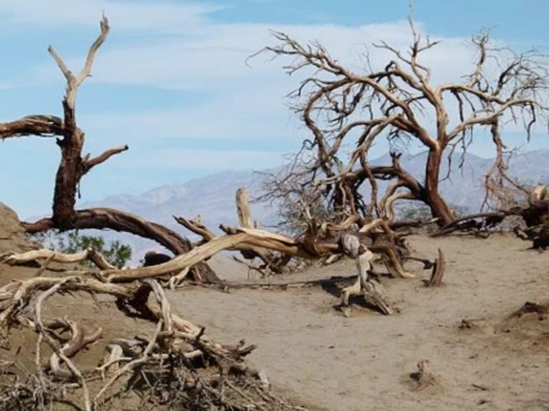 CBP avisa el calor que pueden sufrir los migrantes al cruzar la frontera