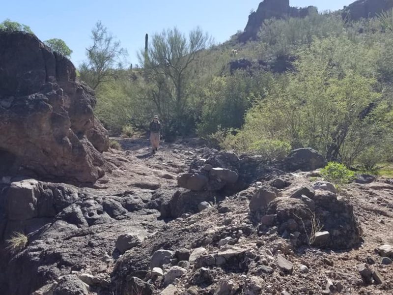 Foto: Armadillos búsqueda y rescate