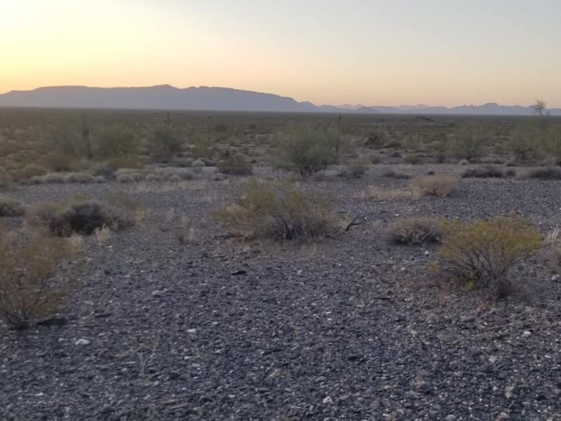 Foto: Armadillos Búsqueda y Rescate