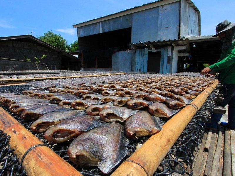 Este trabajo en Canadá inicia el próximo año, pero debes aplicar antes de septiembre de 2021.