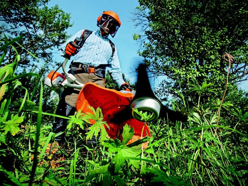 Estas visas de trabajo se dan a personas que desempeñan trabajos como la jardinería.
