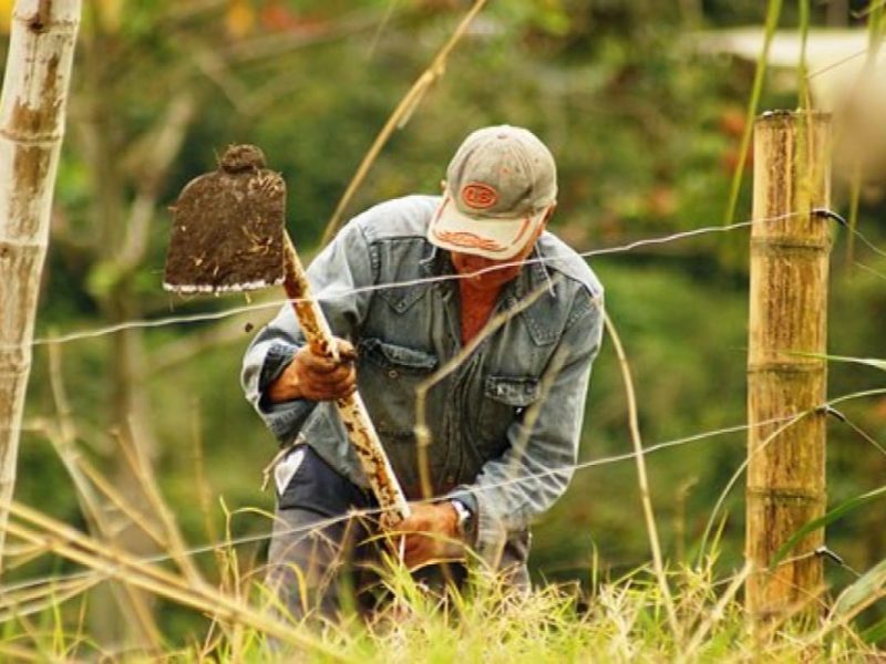 Estas empresas en USA contratan a más trabajadores agrícolas con la visa H-2A.
