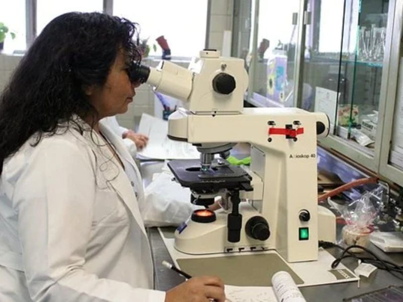 Programa universitario de California abre camino a estudiantes latinos interesados en ciencia.