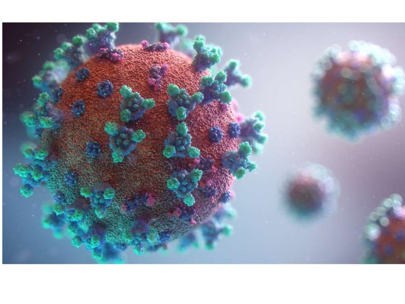 Ivermectina: peligroso medicamento veterinario no cura la Covid-19