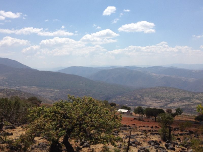 San Vicente del Palmar, en la región mixteca de Oaxaca, tiene sincretismos generados por la alza en la migración de los habitantes de esta región hacia Estados Unidos.