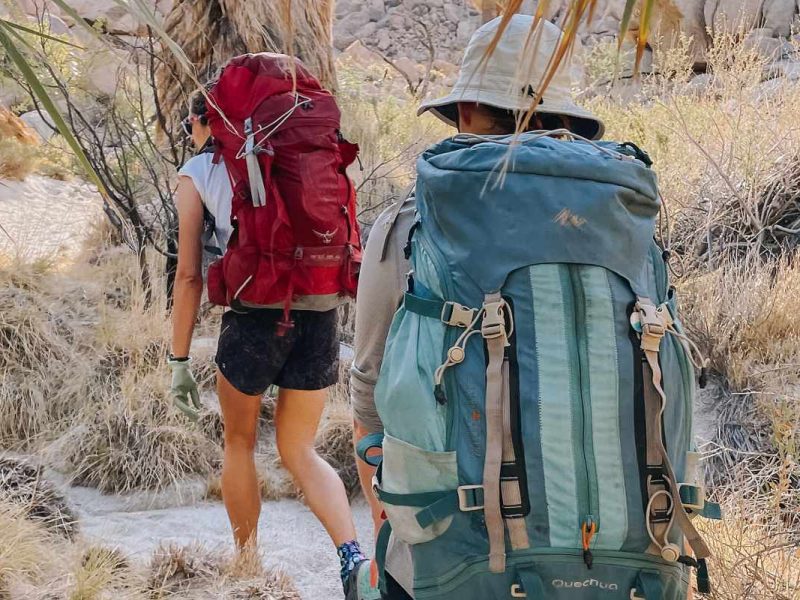 Así salvan la vida de los migrantes estas organizaciones en el desierto