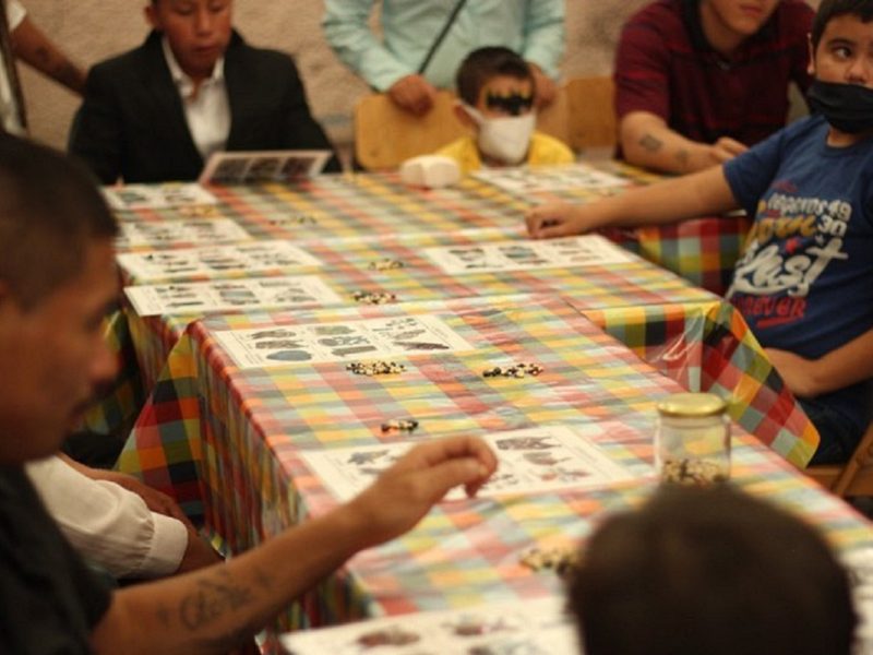 Algunos de estos albergues, como CAFEMIN, albergan a muchos niño y familias migrantes.