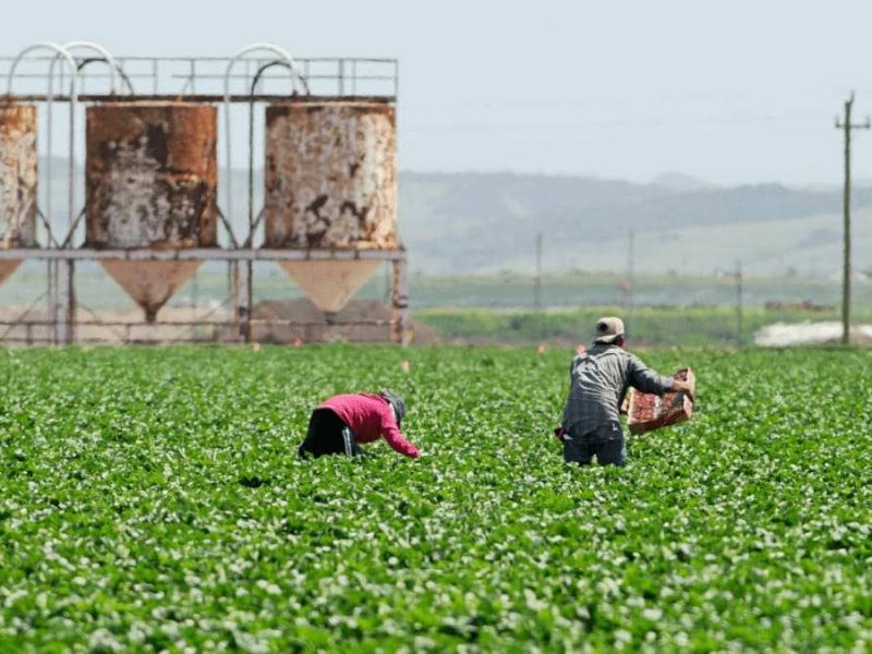 La explotación laboral se define como una actividad ilegal que implica hacer que un trabajador realice actividades a cambio de recibir un pago inferior al trabajo que realiza.