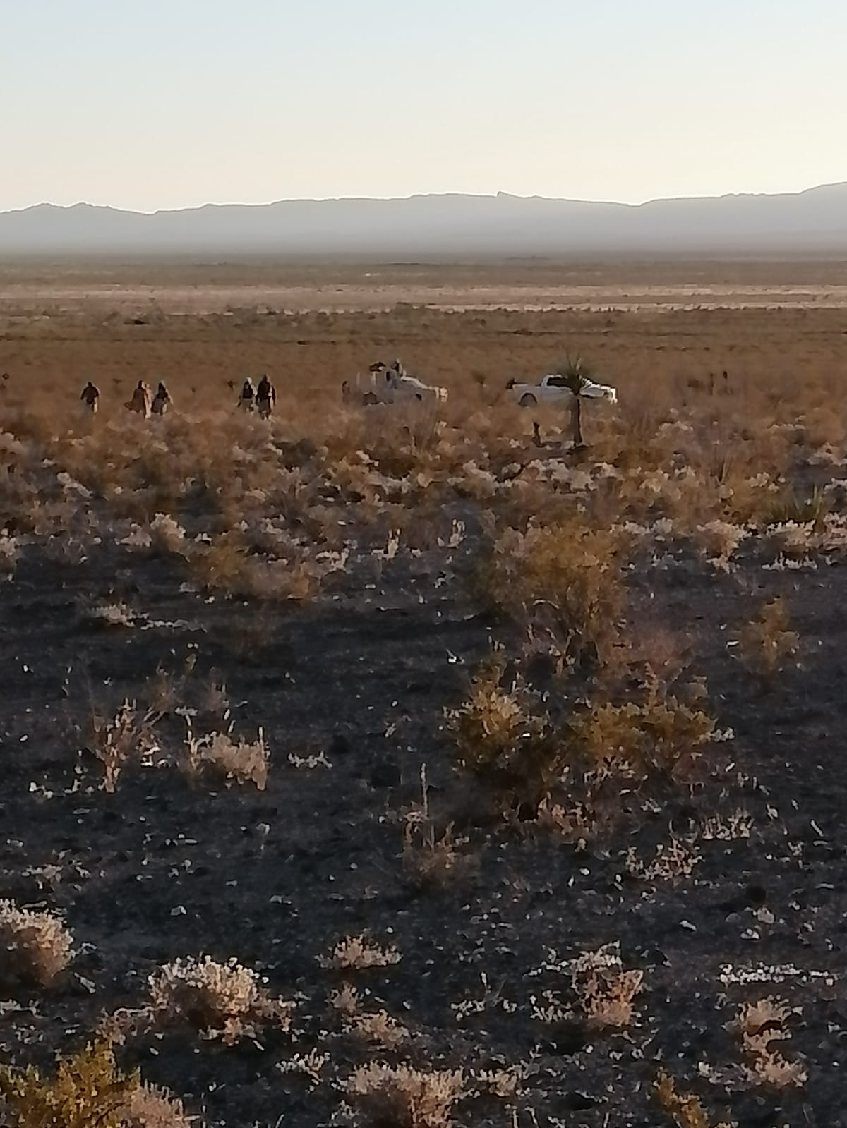 El Grupo Beta de Chihuahua y el Ejército Nacional ya iniciaron la búsqueda de Omar Reyes. | Foto: Cortesía.