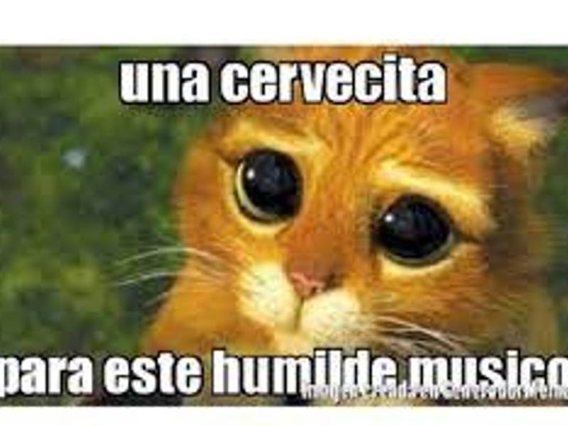 Los mejores memes para celebrar el Día del Músico y Santa Cecilia.