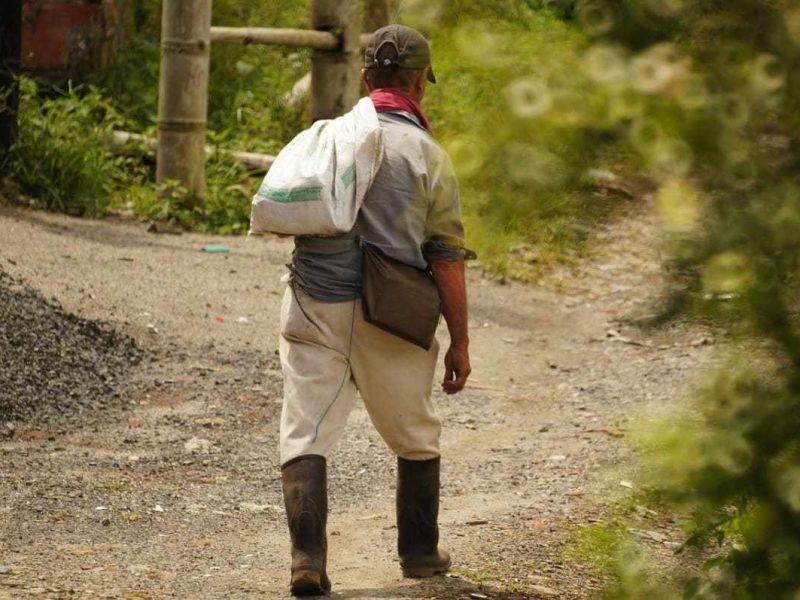 Muchos trabajadores migrantes experimentan abusos por parte de sus empleadores.