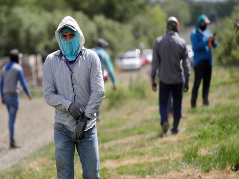 USA busca agilizar la concesión de visas a trabajadores temporales de Centroamérica y Haití.