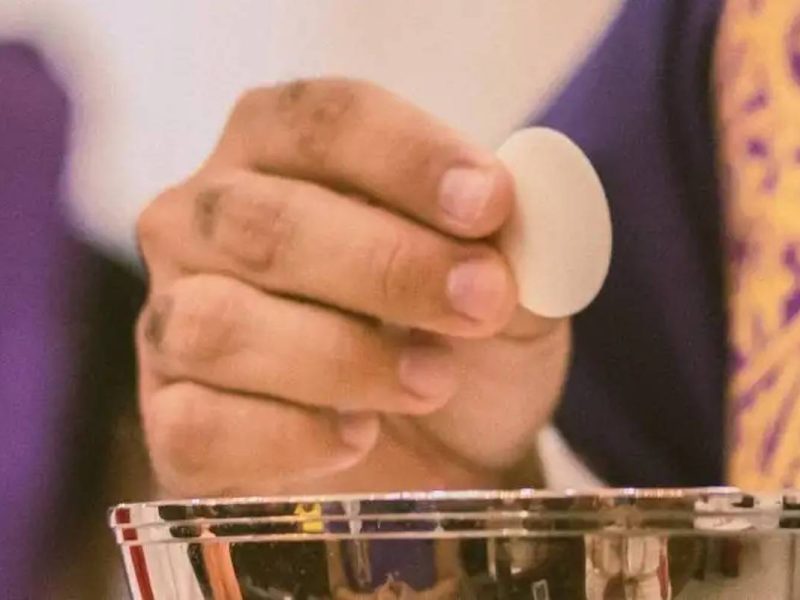 Foto: Thays Orrico / Unsplash