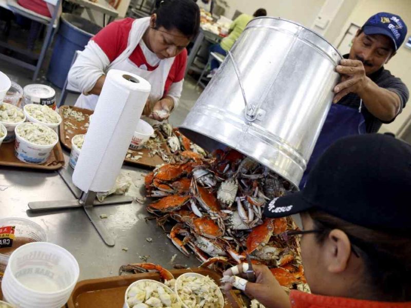 Si tienes un permiso de trabajo válido y te rechazan por no ser ciudadano puedes presentar una denuncia