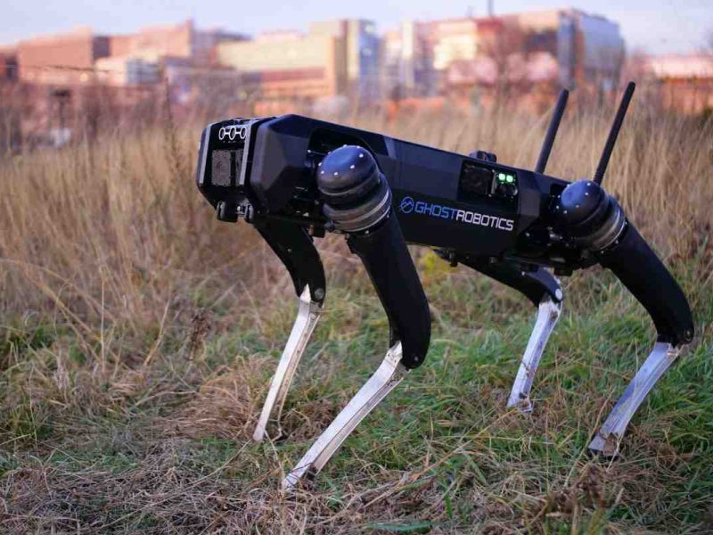 Los perros robots funcionarán como nuevos agentes migratorios en la frontera de Estados Unidos con México.