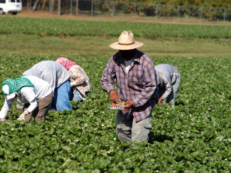 Los trabajadores esenciales no dejaron de trabajar durante la pandemia de Covid-19.