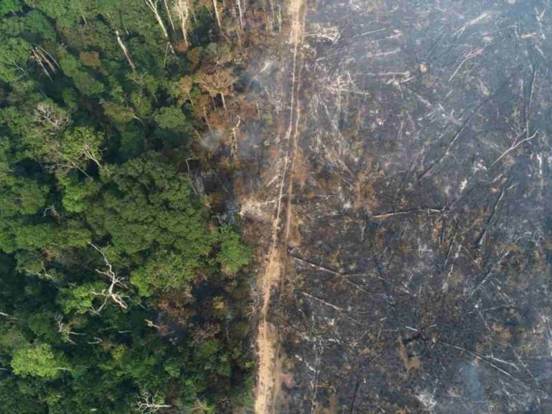 Vista general de un tramo de la selva amazónica que arde mientras es limpiado por madereros y agricultores