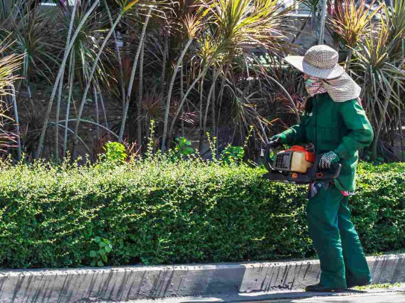 Este trabajo en Canadá para jardineros mexicanos ofrece un salario de 40 mil pesos al mes.