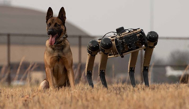 Los perros robot de Estados Unidos tienen la capacidad de ingresar a terrenos de difícil acceso y de adaptarse a condiciones climáticas extremas.