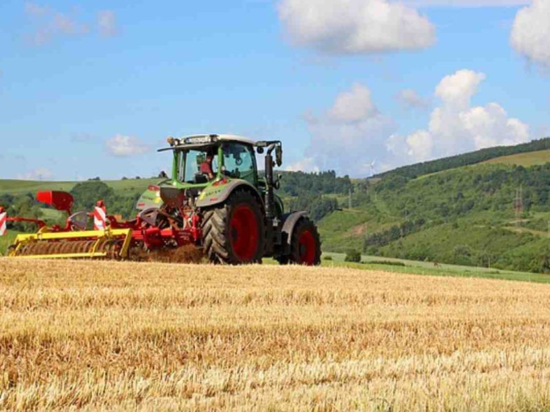 Así puedes identificar los abusos laborales en los trabajadores agrícolas en USA.