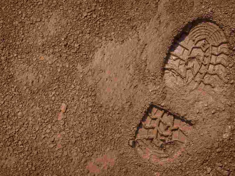 Las familias de las personas migrantes desaparecidas se enfrentan a varios retos durante su búsqueda.