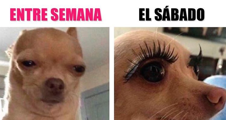 Pestaña postiza porque es sábado...