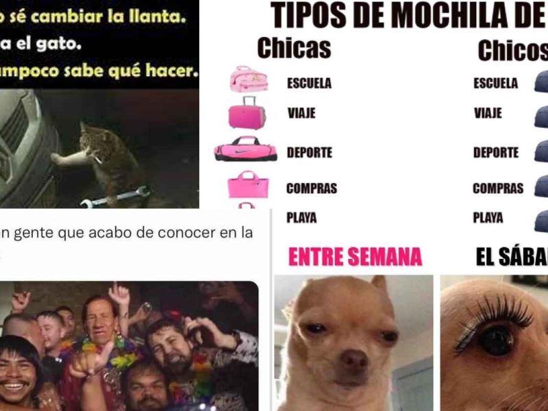 Estos son los mejores memes de la semana publicados en Conexión Migrante.