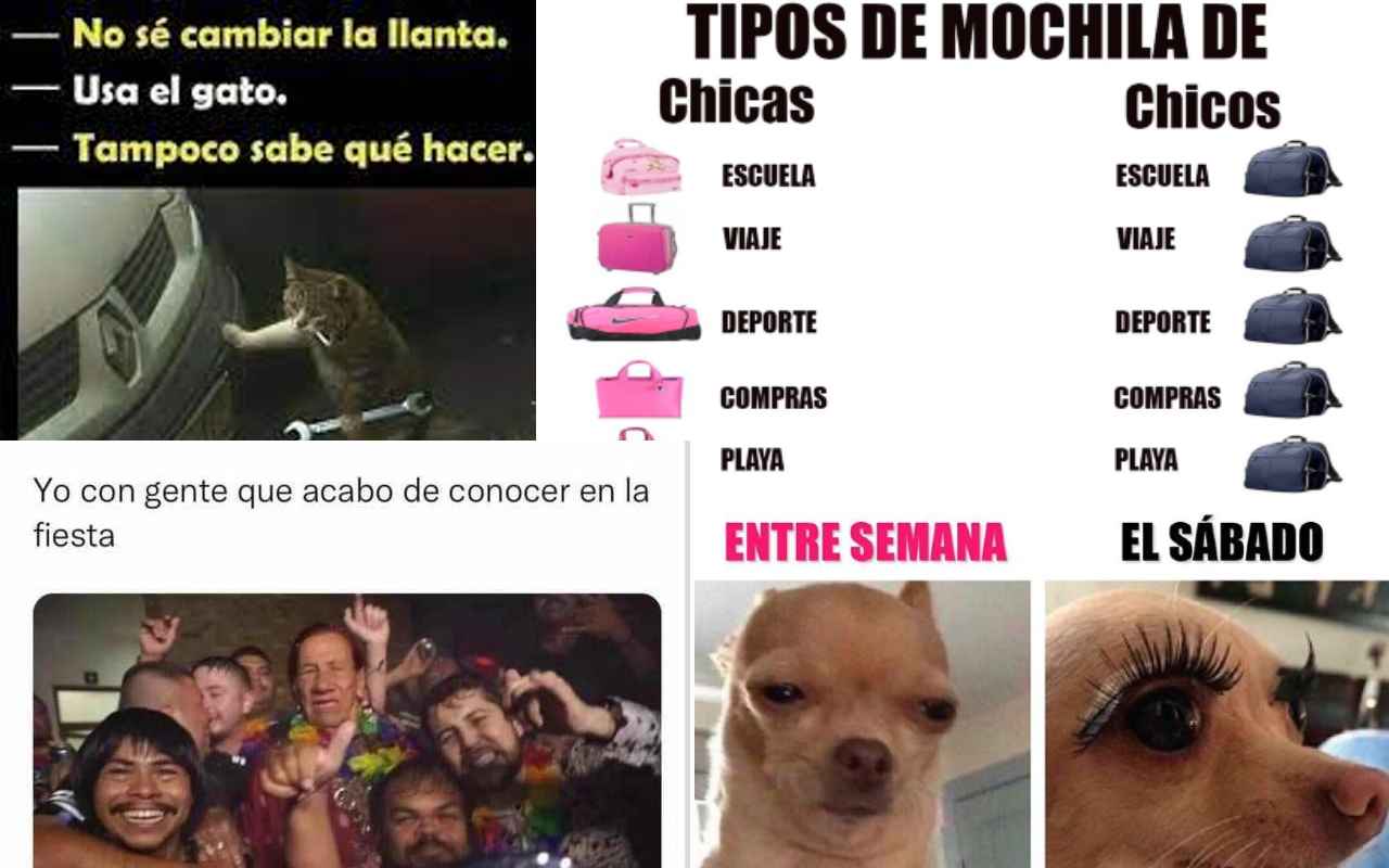 Los mejores memes de la semana en Conexión Migrante, image size:1280x800