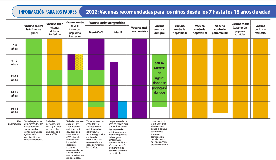 Calendario de vacunación: de 7 a 18 años.